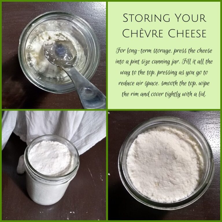 Chevre Recipe: Easy Homemade Cheese From Goat Milk – Food For Life Garden