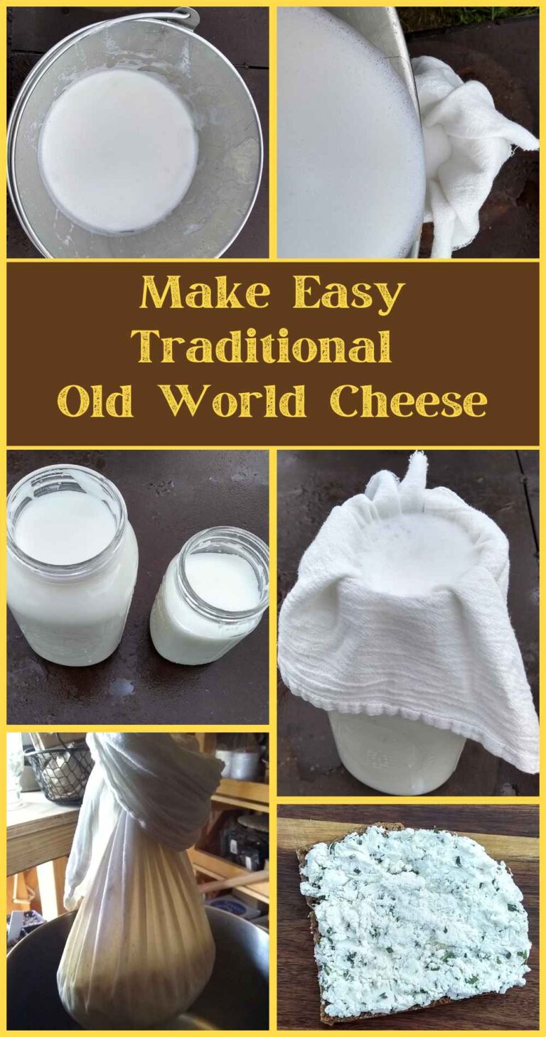 Chevre Recipe: Easy Homemade Cheese From Goat Milk – Food For Life Garden
