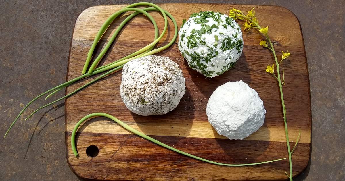 Chevre Recipe: Easy Homemade Cheese From Goat Milk – Food For Life Garden