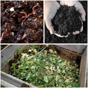 different types of compost, 3 pictures showing a worm compost, finished compost in hands, browns and greens piled up in a wooden compost bin