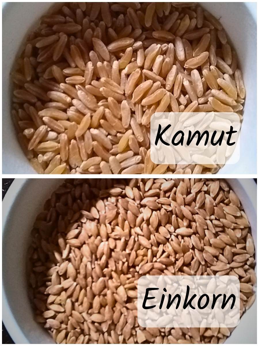 kamut-sourdough-bread-recipe-with-einkorn-lazy-method-food-for-life