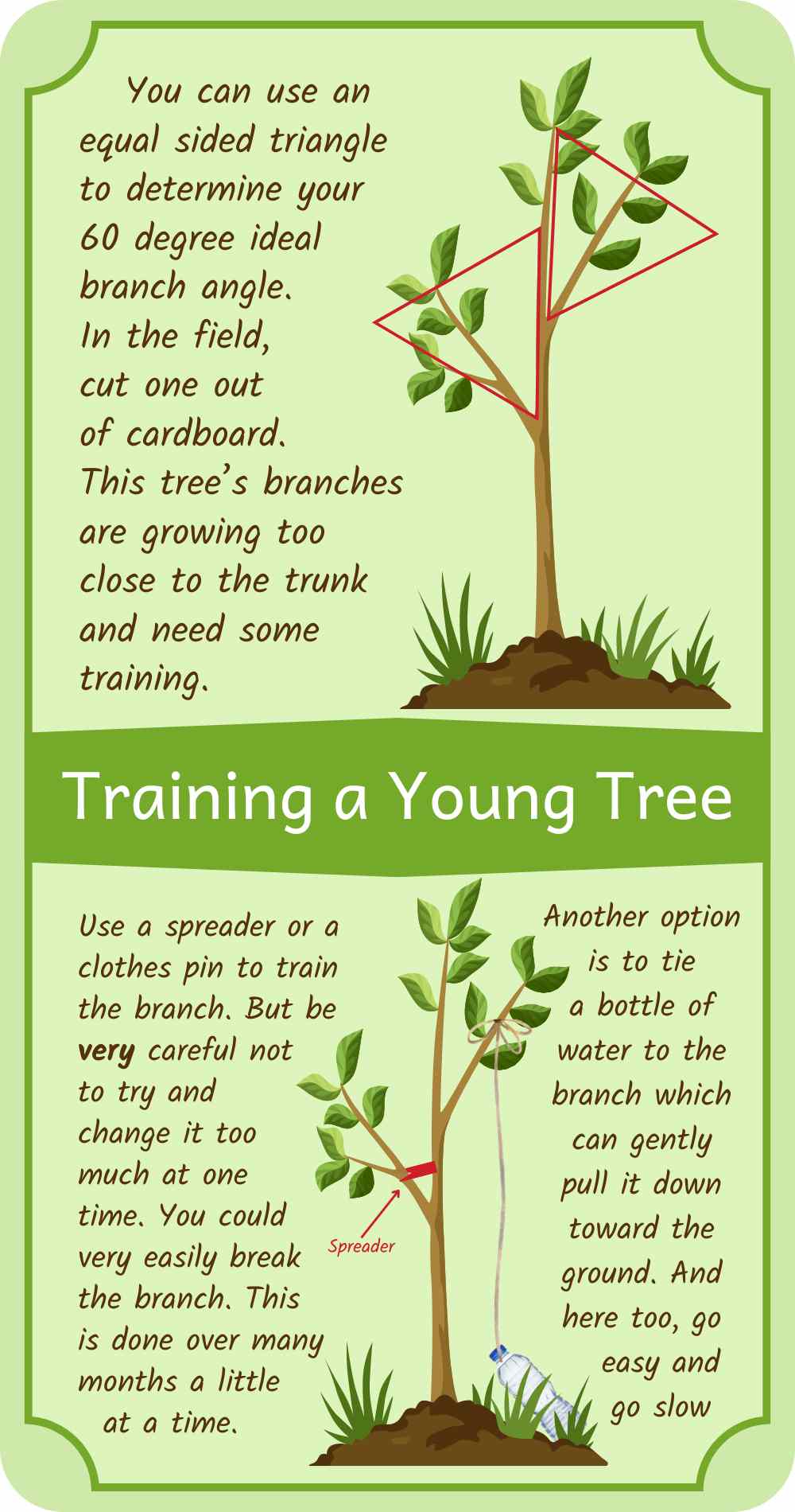 Plant Fruit trees the right way and the best compost for fruit trees ...