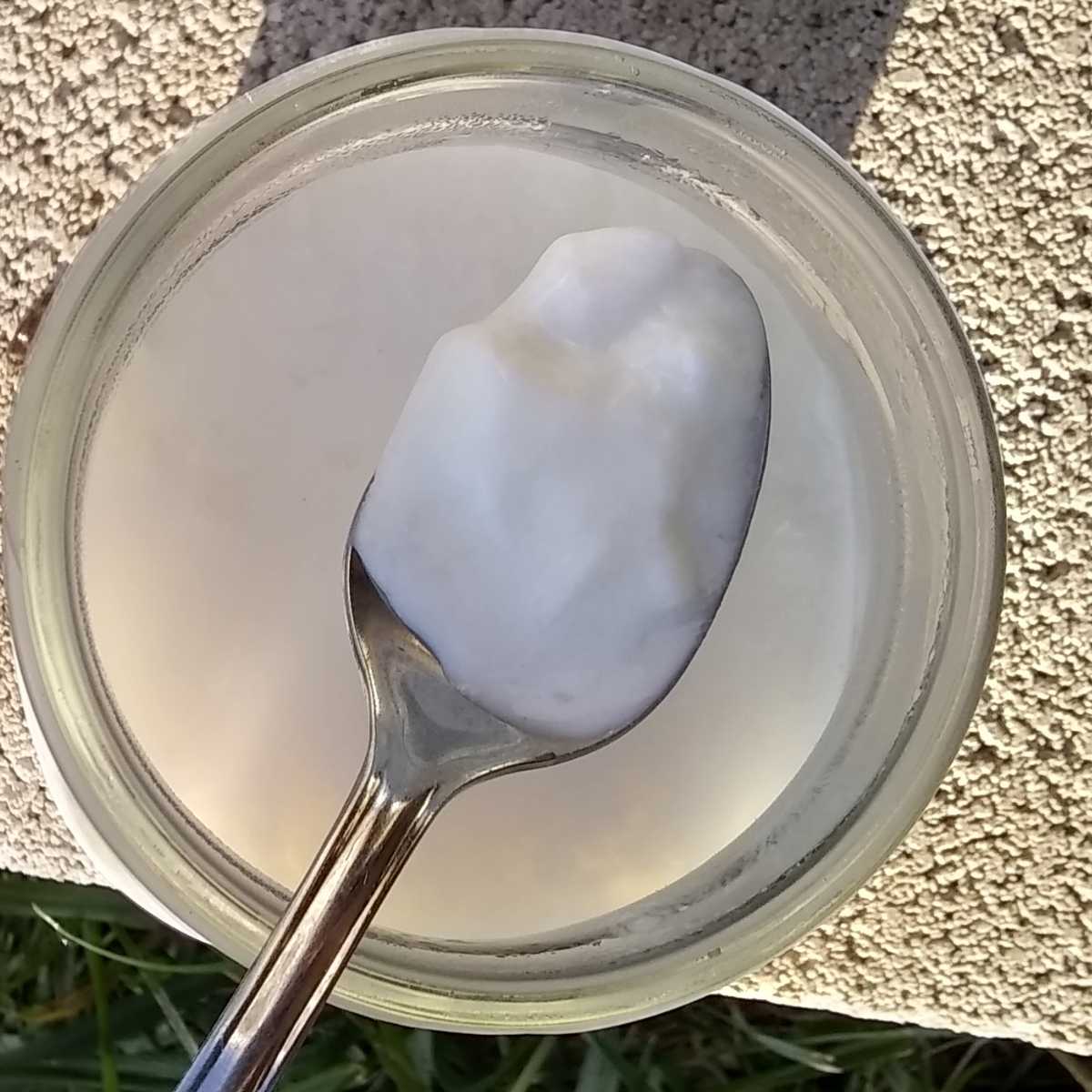 Bonnyclabber on a spoon and jar full of bonnyclabber