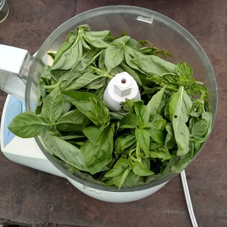 How To Freeze Basil - Preserve The Best Fresh Flavor – Food For Life Garden