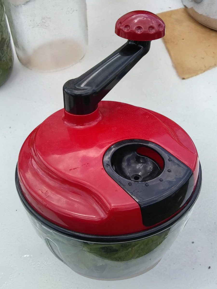How To Freeze Basil - Preserve The Best Fresh Flavor – Food For Life Garden