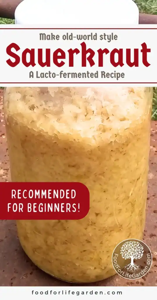 photo shows a large jar filled with fermented cabbage with test overlay that reads make old-world style sauerkraut, a lacto-fermented recipe. recommended for beginners. foodforlifegarden.com