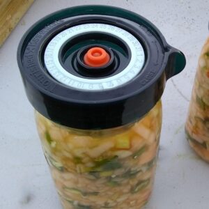 A canning jar topped with a fermentation lid