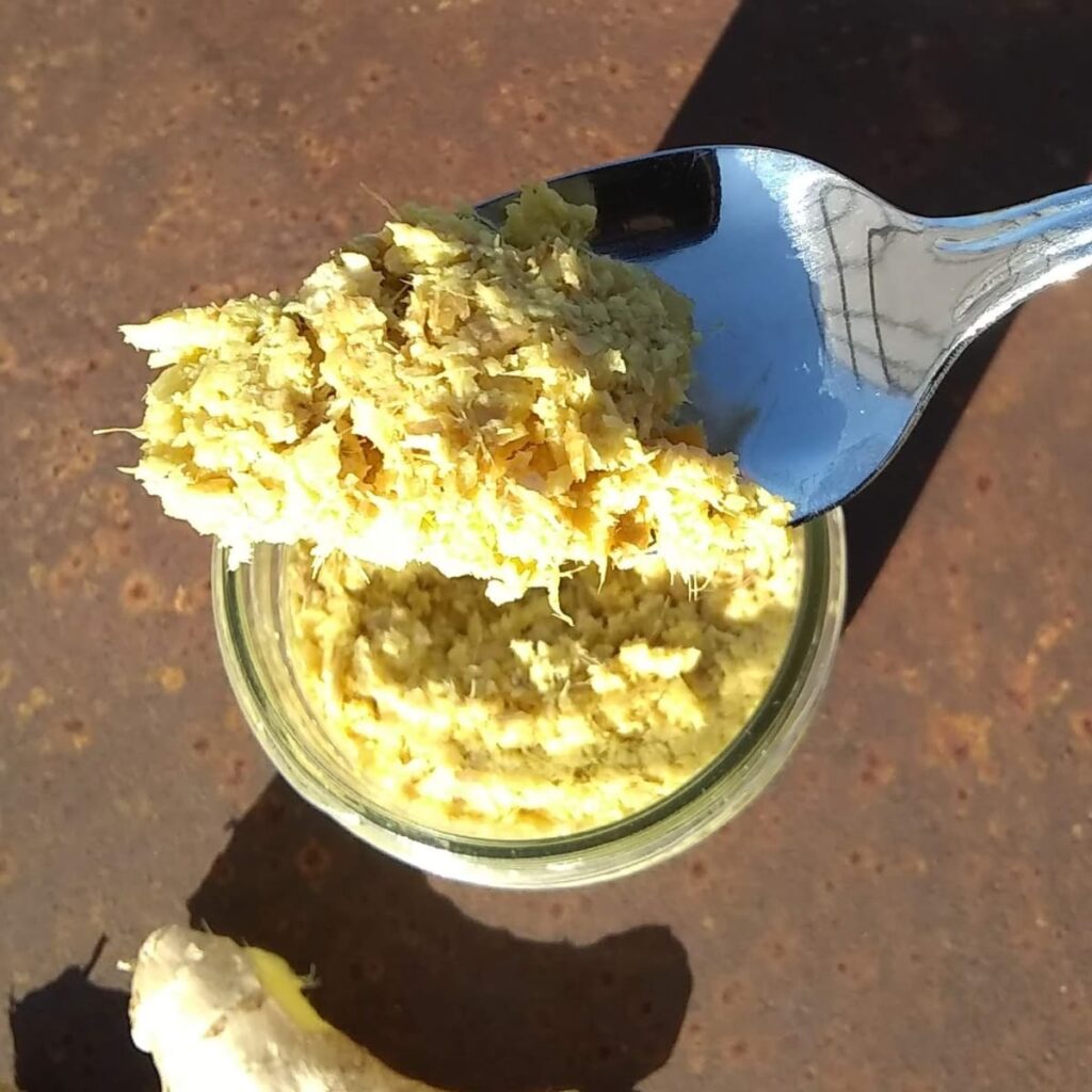 ginger paste on a fork with a jar full of ginger paste below it.