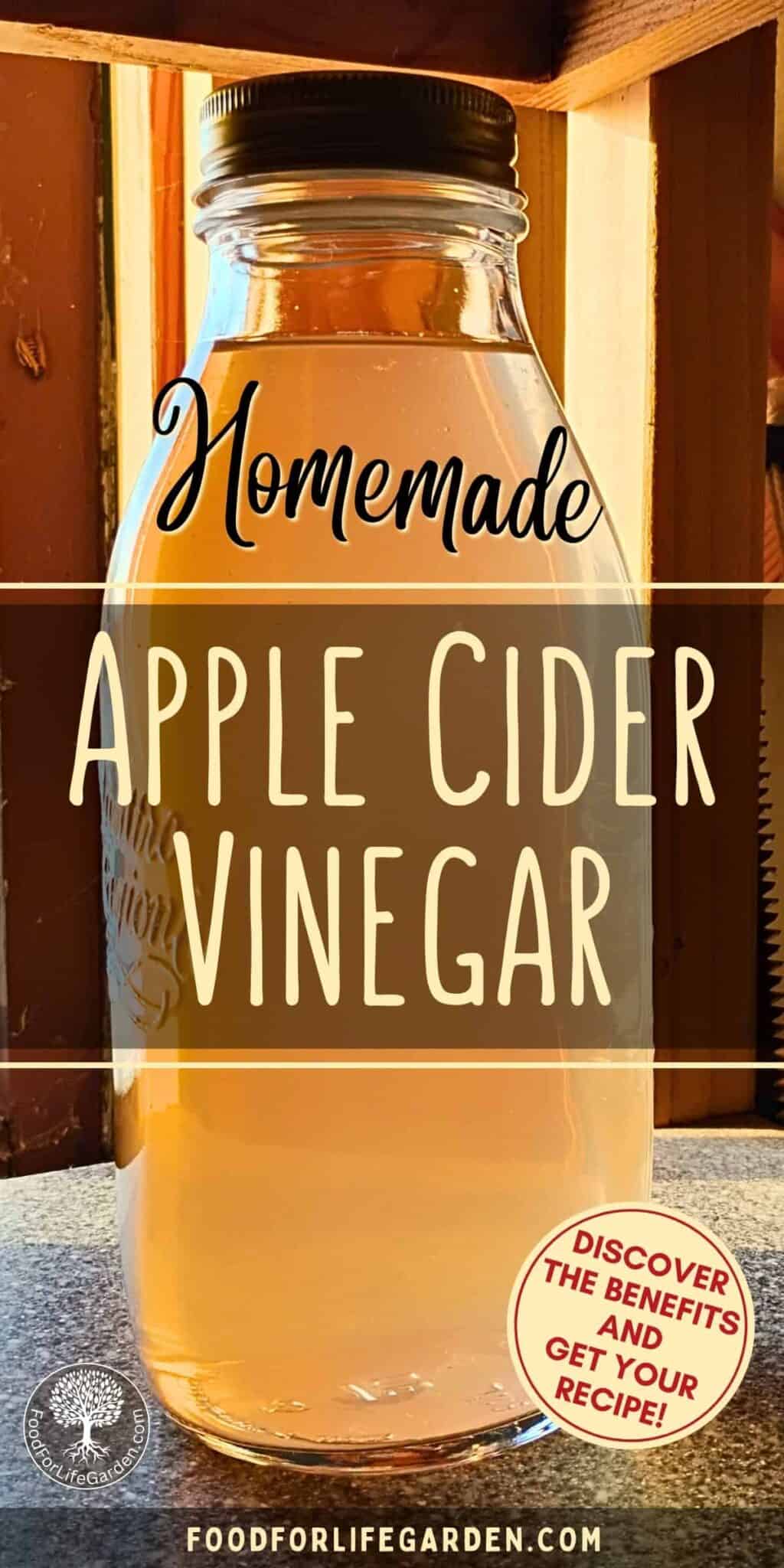 Homemade Apple Cider Vinegar With The Mother From Scraps! – Food For ...
