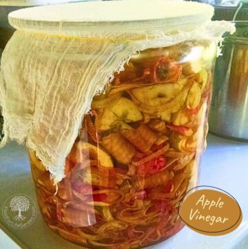 Homemade Apple Cider Vinegar With The Mother From Scraps! – Food For ...