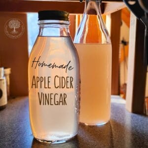 two bottles of apple cider vinegar on a counter top. words read homemade apple cider vinegar.