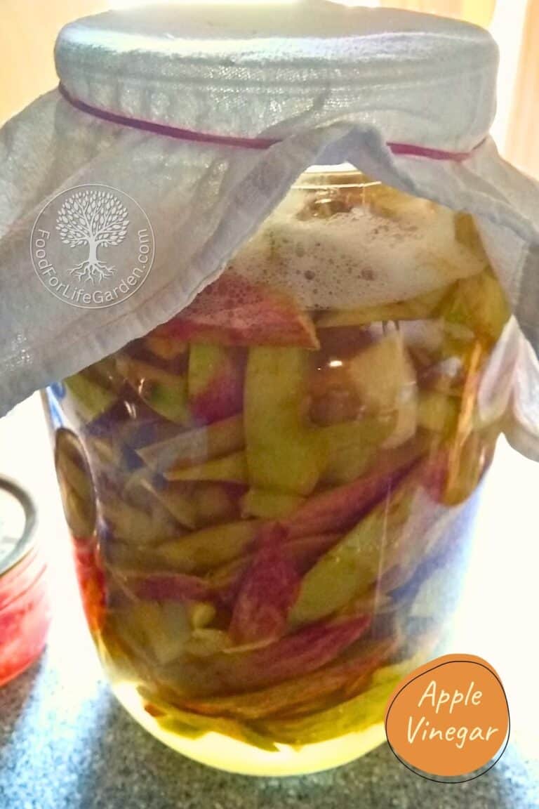 Homemade Apple Cider Vinegar With The Mother From Scraps! – Food For ...