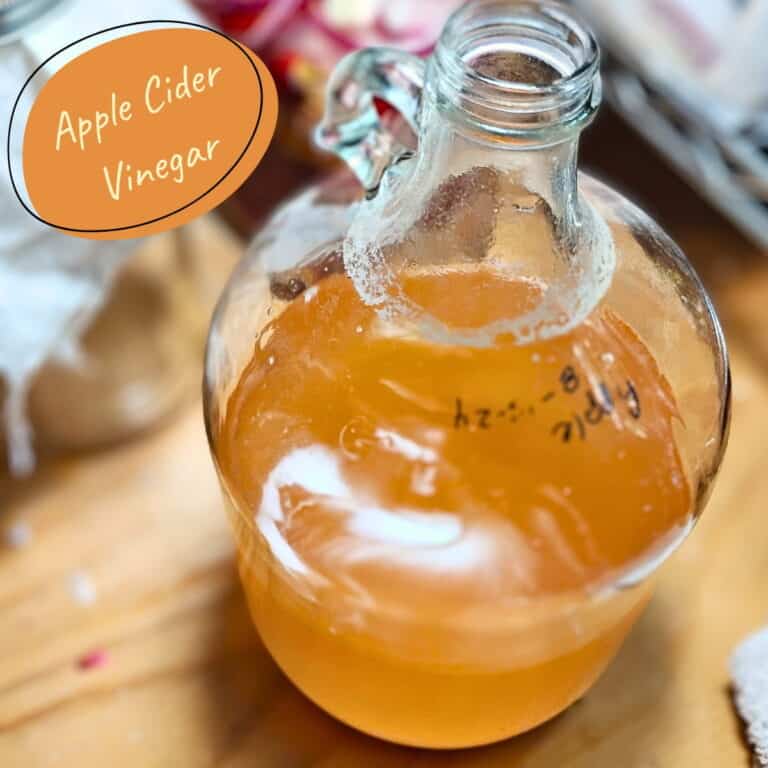 Homemade Apple Cider Vinegar With The Mother From Scraps! – Food For ...
