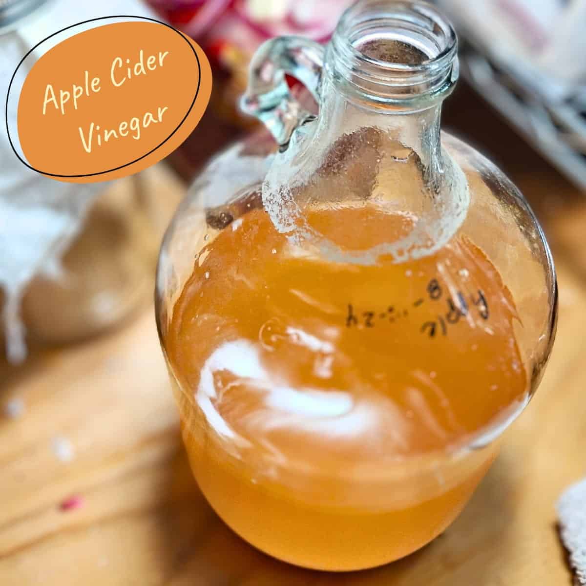 Homemade Apple Cider Vinegar With The Mother From Scraps! – Food For ...
