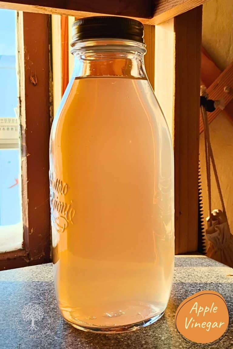 Homemade Apple Cider Vinegar With The Mother From Scraps! – Food For ...