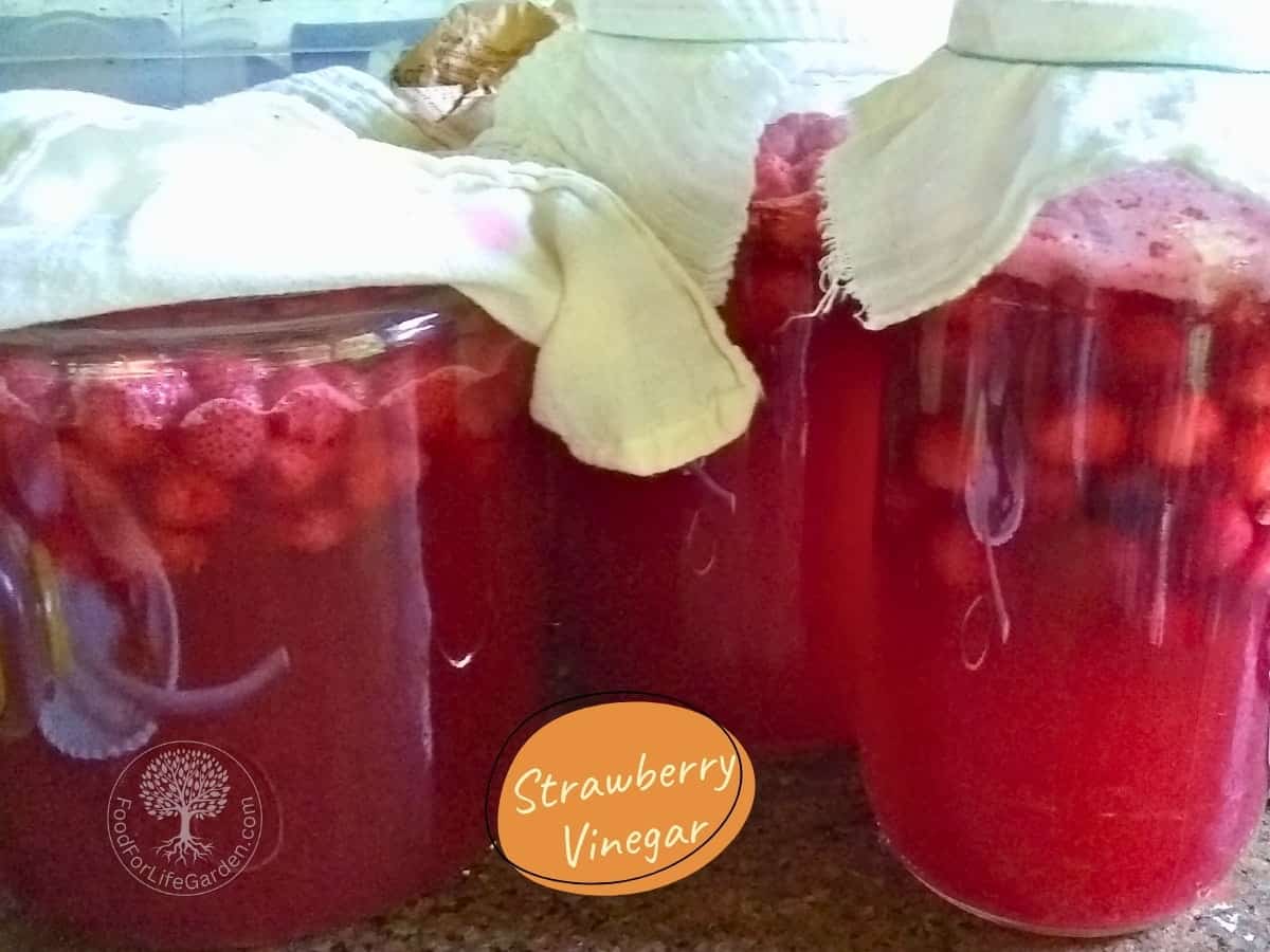 Homemade Apple Cider Vinegar With The Mother From Scraps! – Food For ...