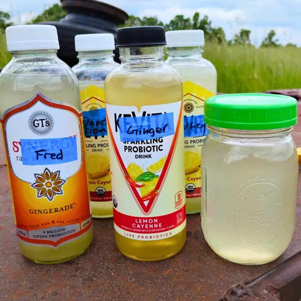 all the sodas lined up after using different starters. Water kefir, dandelion bug, ginger bug and whey