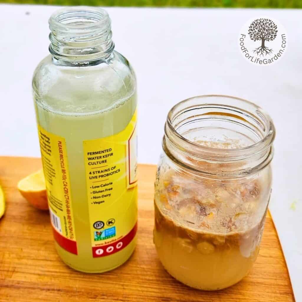 bottle with some lemonade ingredients for fermenting, with the dandelion bug in a jar sitting next to it.