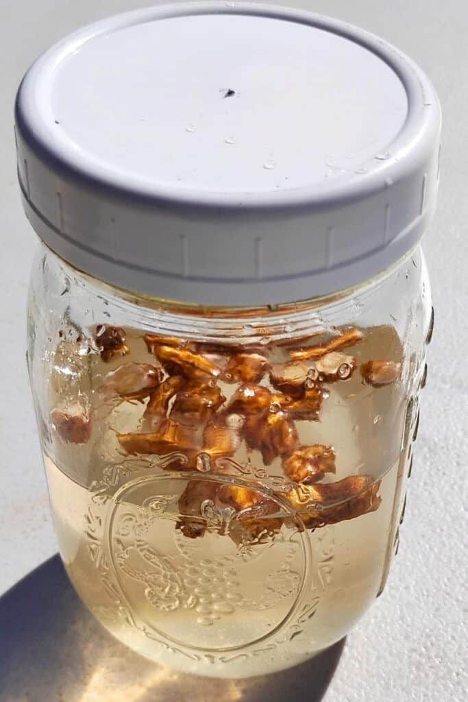 capped jar containing the dandelion bug starter culture ready to ferment.
