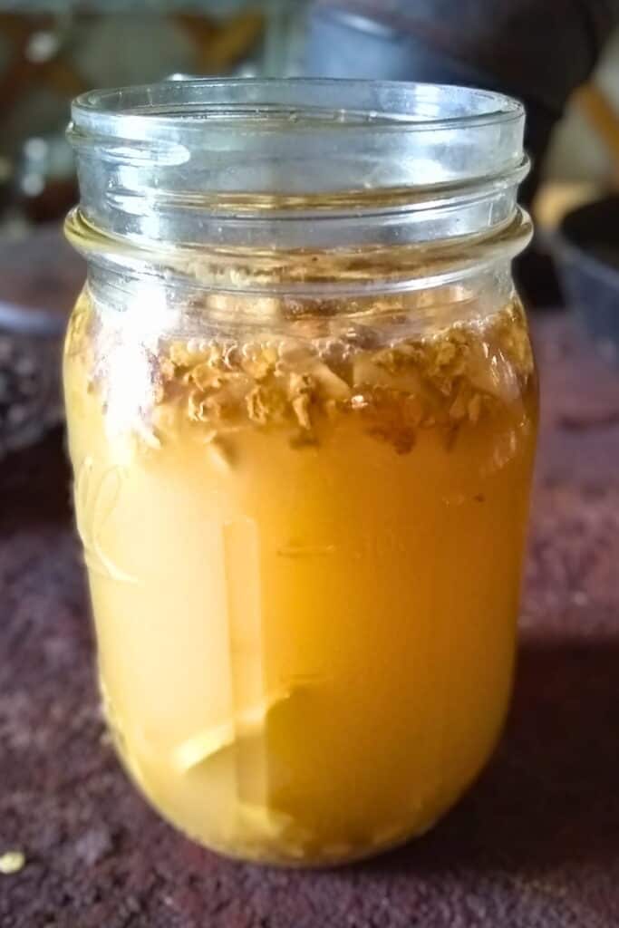 bubbly ginger bug starter.