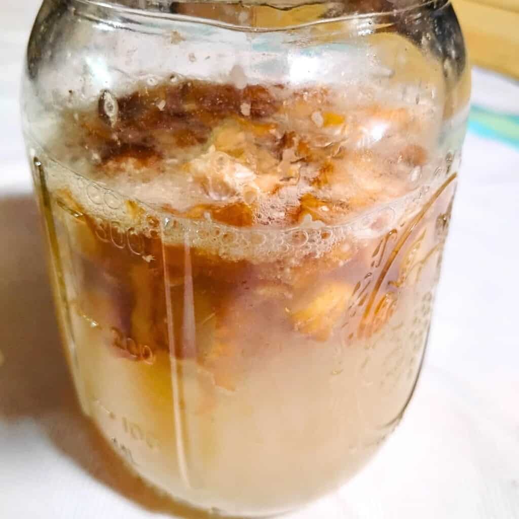 pint jar with a very bubbly dandelion bug
