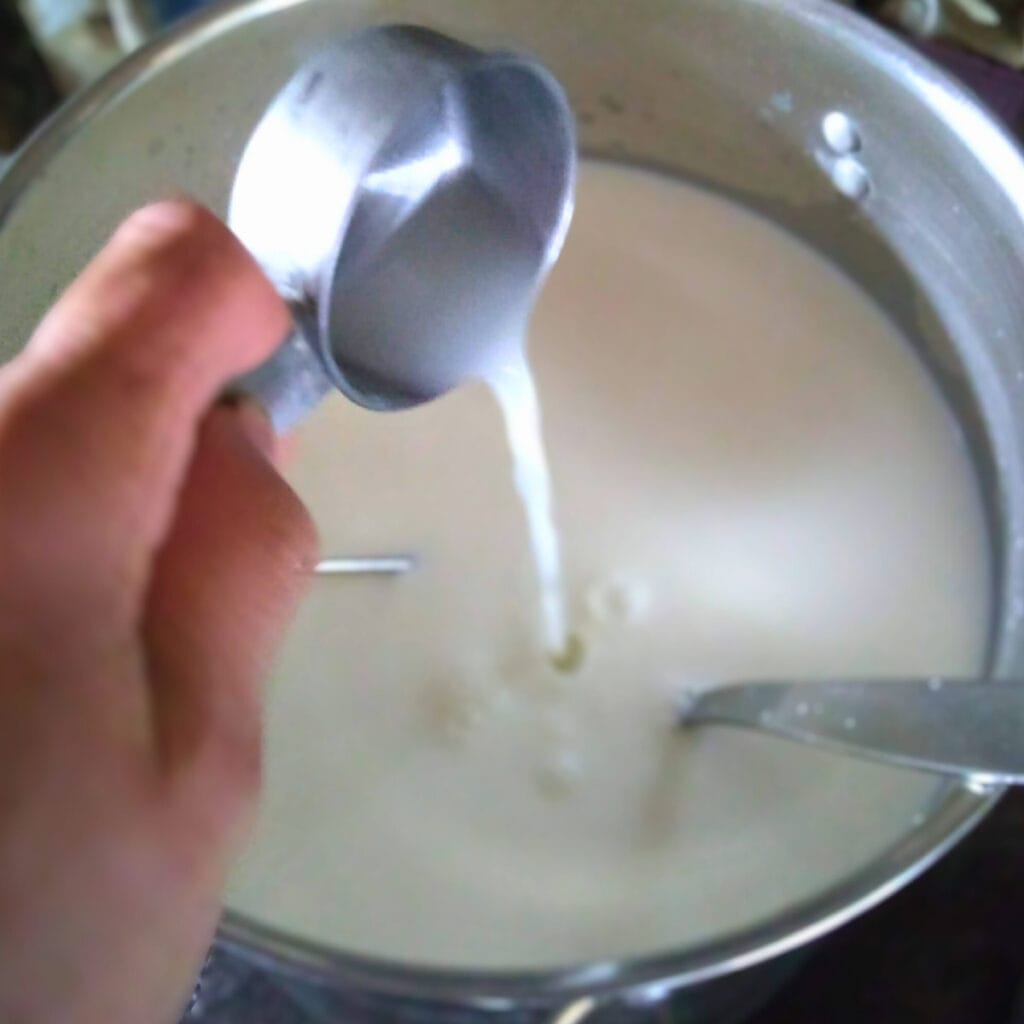 adding whey as cheese culture to the pot of milk