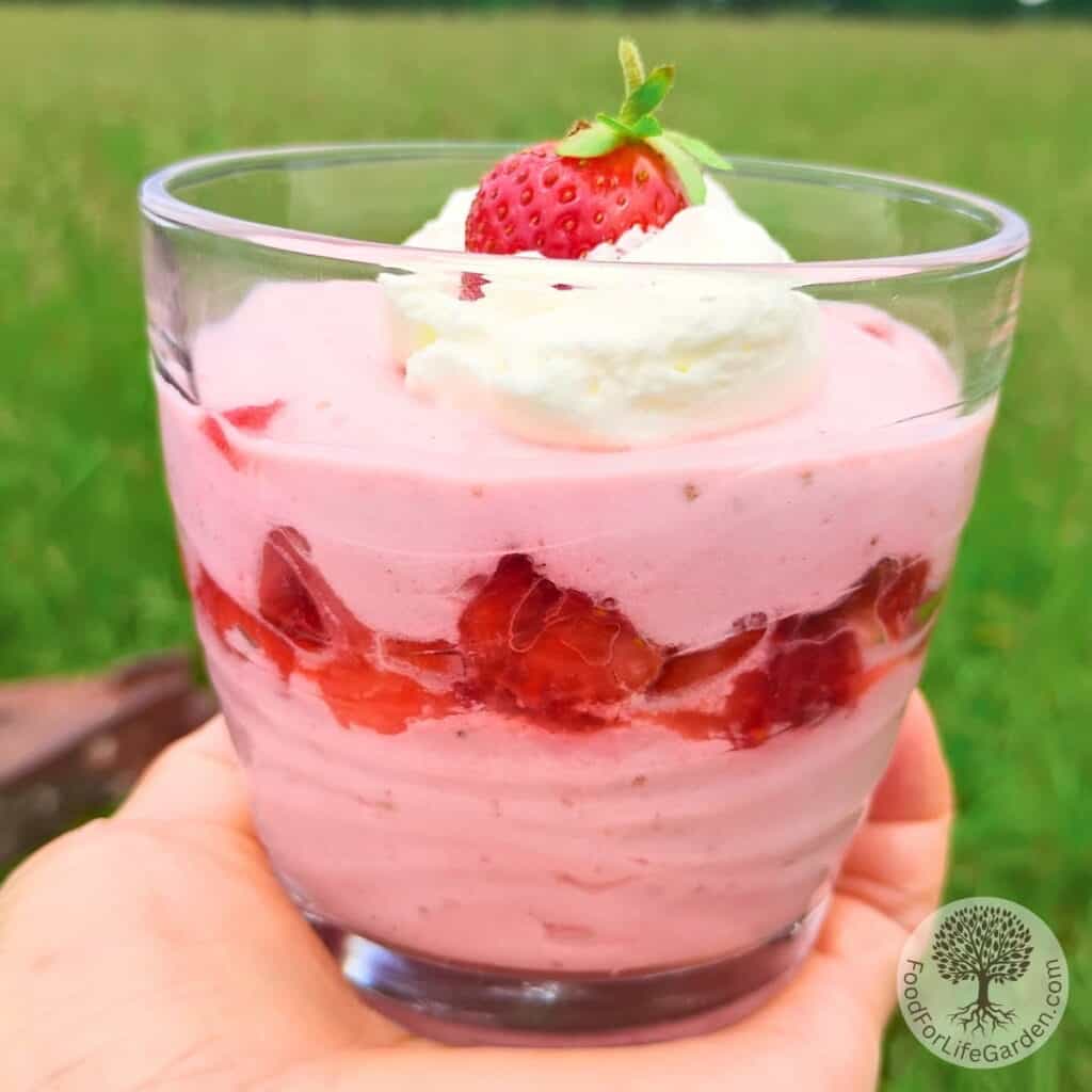 A hand is holding up a glass filled with strawberry quark cheese mousse, layered with strawberries and topped with whipping cream and a fresh strawberry.