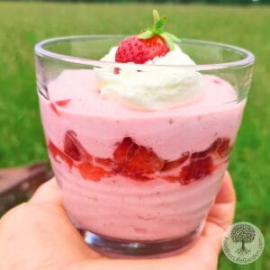 a hand holding a glass with strawberry quark cheese mousse, layered with strawberries and decorated with whipped cream and a strawberry.