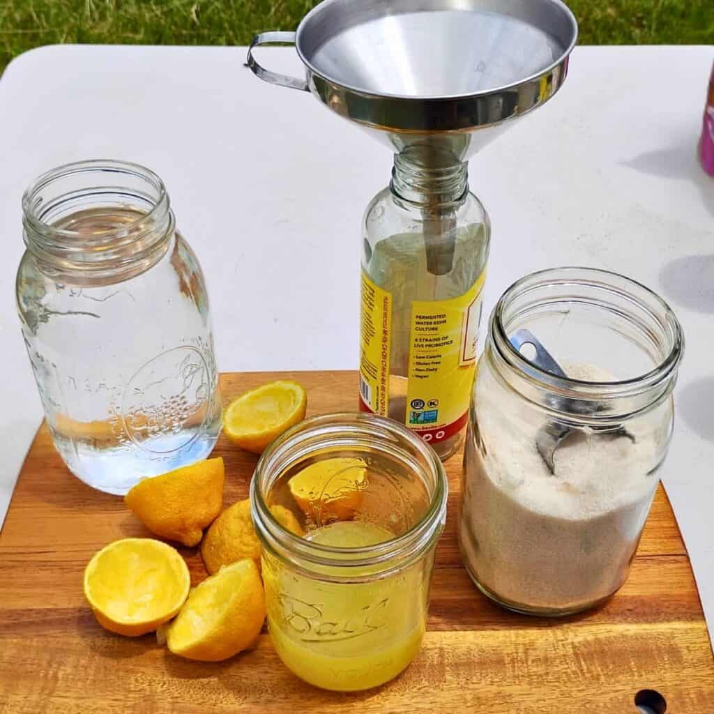 ingredients and equipment for making probiotic fermented lemonade soda.