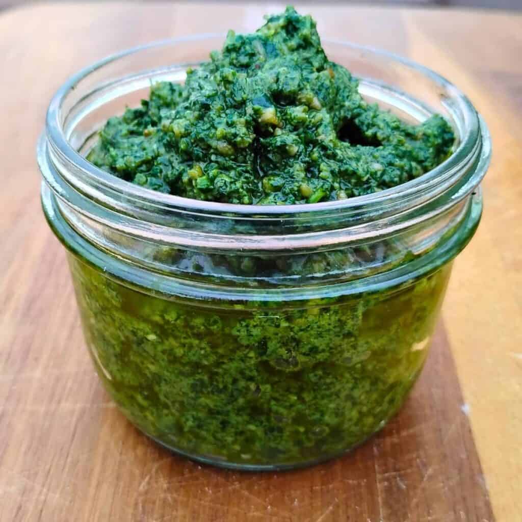jar full of fresh foraged wild greens pesto