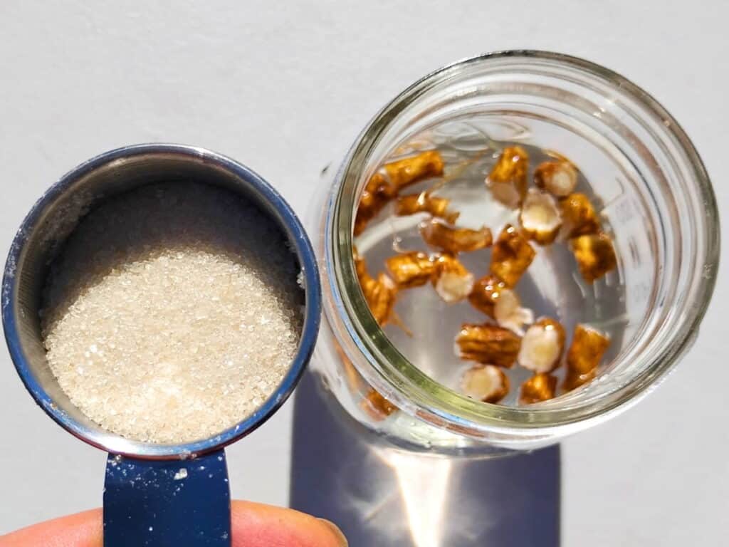 sugar is added to the dandelion and water in a glass jar.
