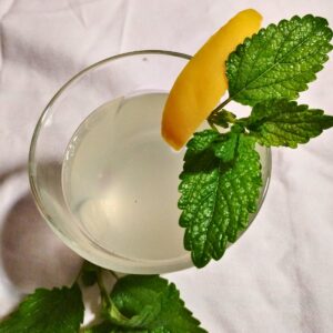 fermented fizzy lemonade soda