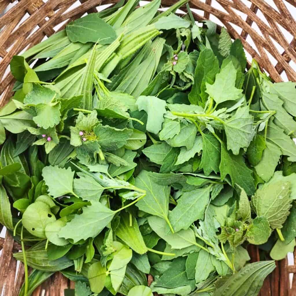 mixed wild greens in a basket
