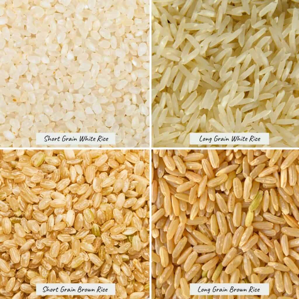 collage of photos showing white and brown short grain and long grain rice.