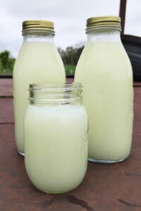 Three bottles of whey on a rusty trailer bed.