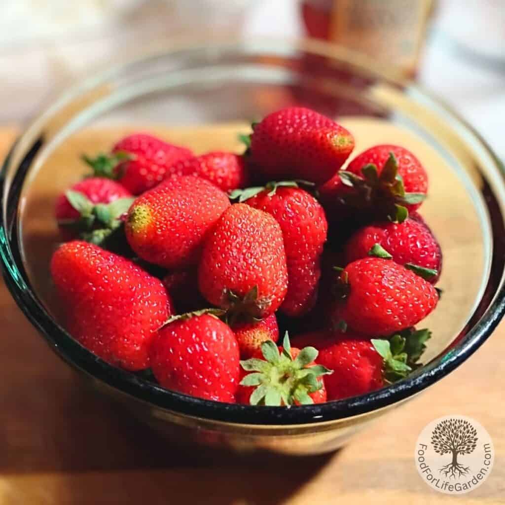 A bowl full of whole strawberries to use in the dessert.
