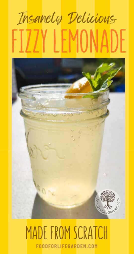 glass full of fizzy fermented lemonade with text overlay that reads insanely delicious fizzy lemonade. made from scratch. foodforlifegarden.com