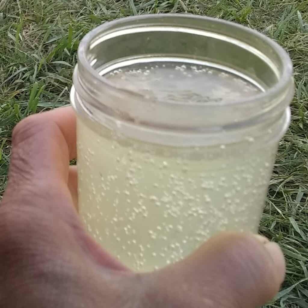 glass with ginger ale in a person's hand.