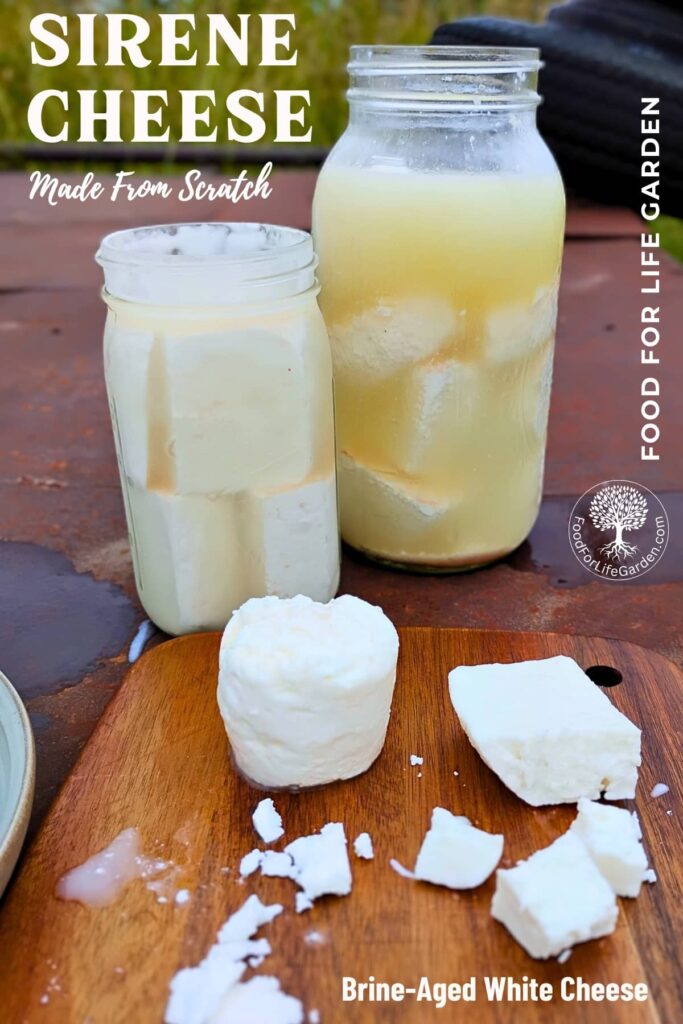 photo of two jars full of brine-aged white cheese in the background. In front is a cutting board with chunks of sirene, or bulgarian feta cheese. Text overlay reads sirene cheese made from scratch. food for life garden. Brine-aged white cheese.
