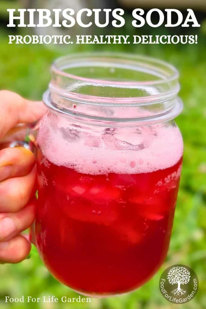 a hand holding a mason jar with a handle that is full of fizzy fermented hibiscus soda .