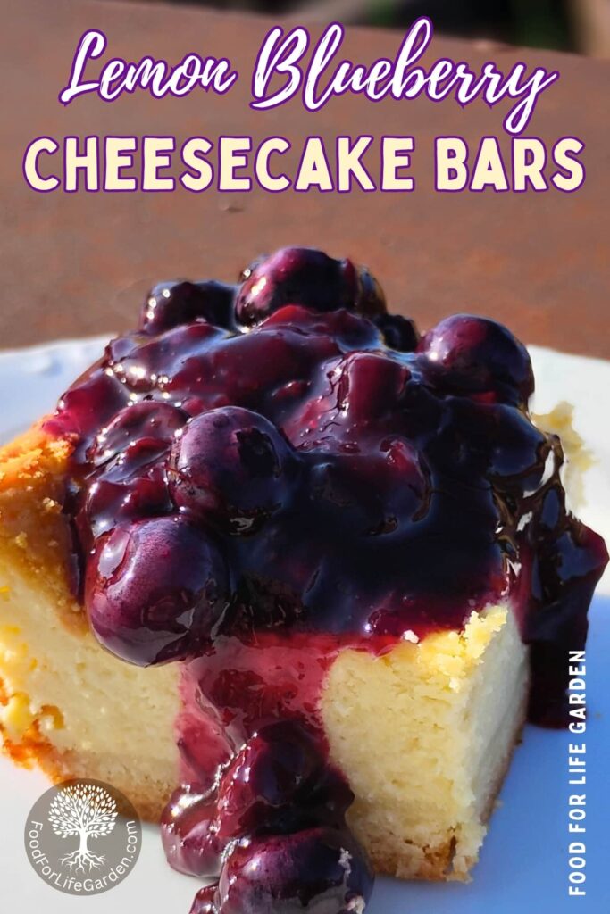 lemon blueberry cheesecake bar on a plate with text overlay that reads lemon blueberry cheesecake bars. food for life garden.