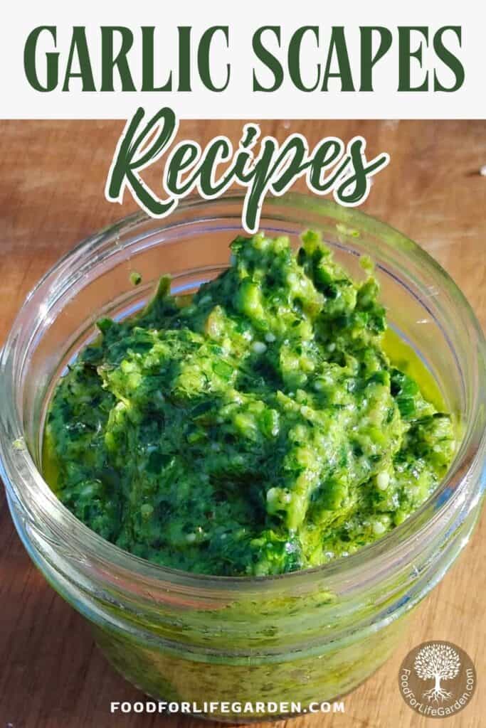 jar full of garlic scape pesto with text overlay that reads garlic scapes recipes foodforlifegarden.com.
