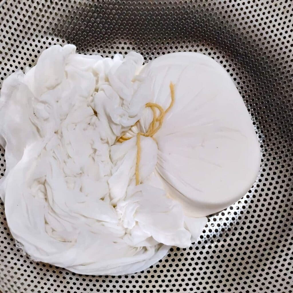 A pressed chunk of cheese in a colander, wrapped in cheese cloth.