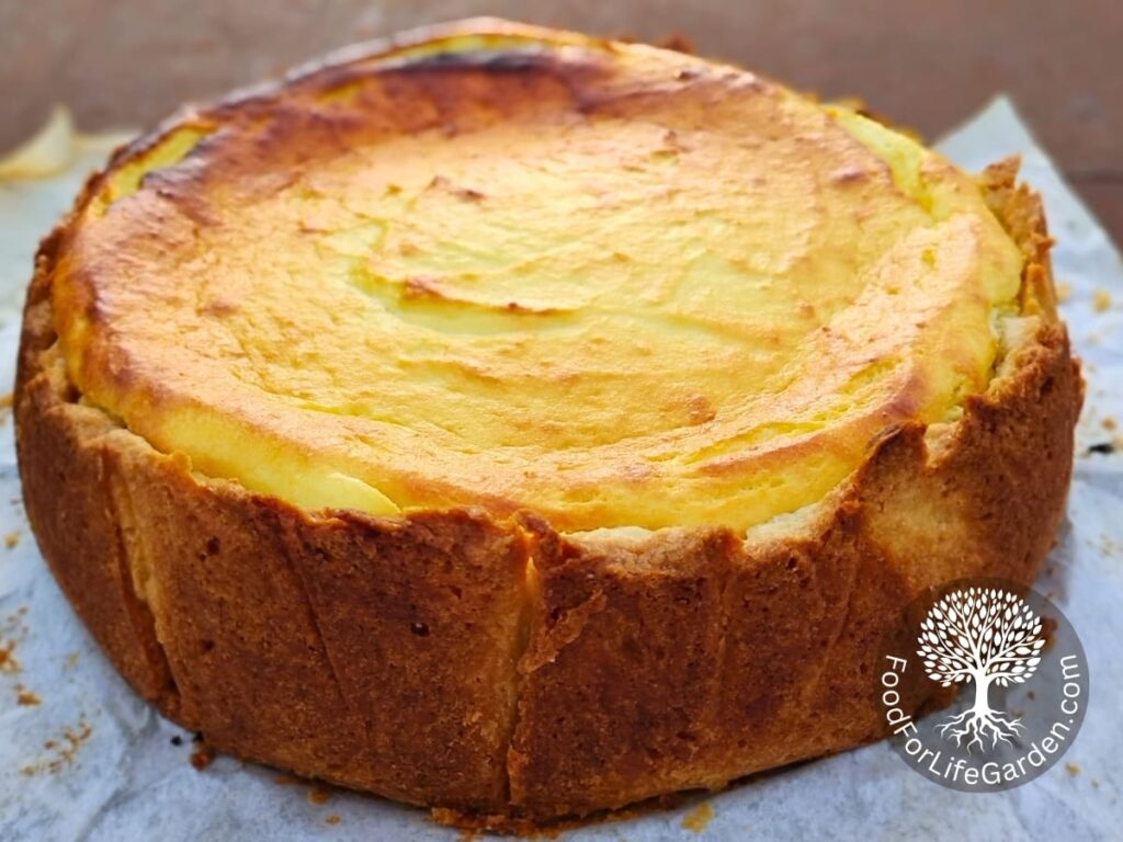 Sideview of a whole cheese cake freshly made.