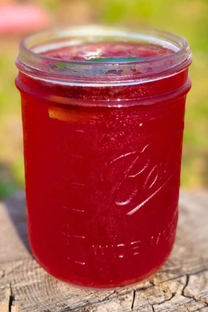 A mason jar full of fizzy fermented probiotic hibiscus soda