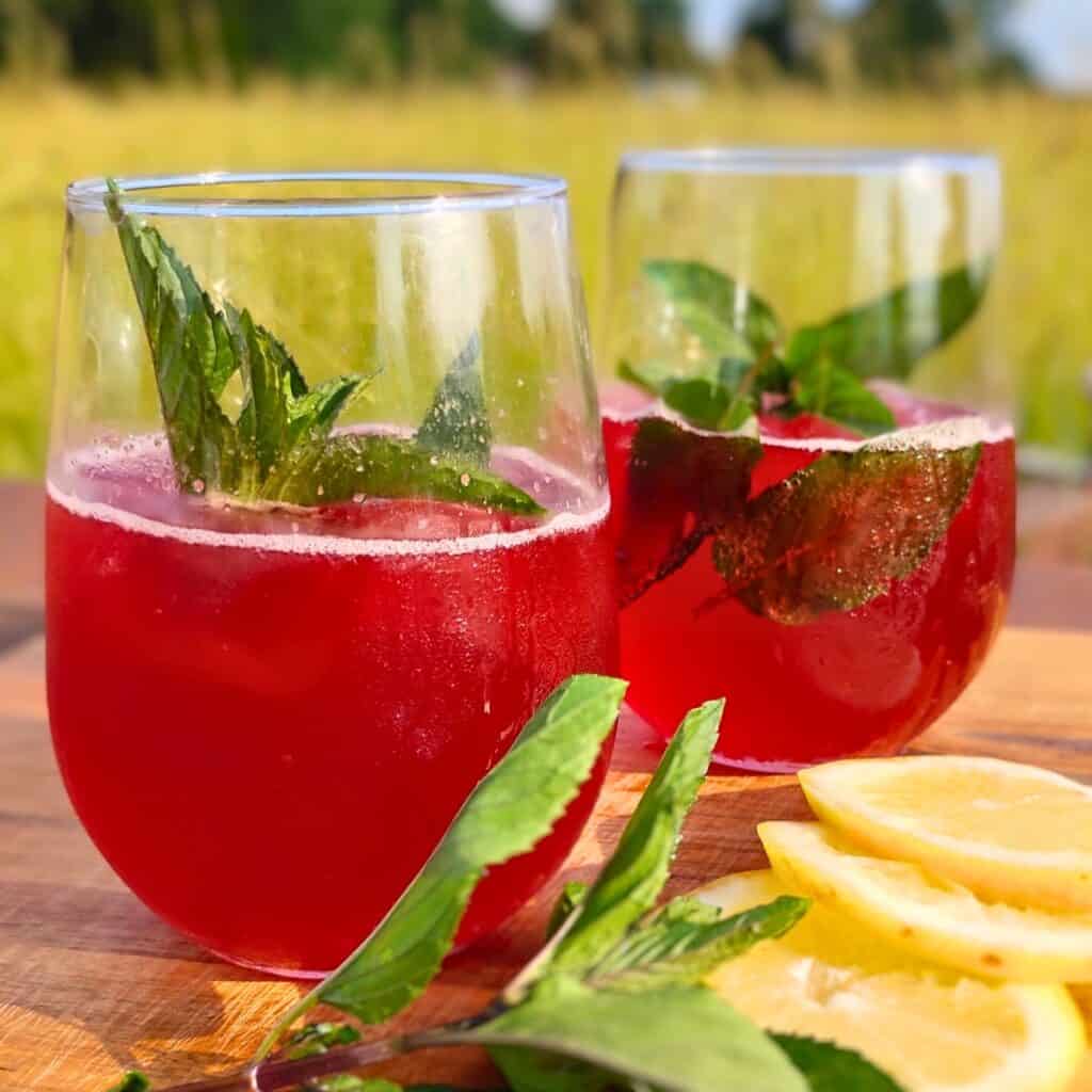 two glasses on a cutting board with lemon slices and peppermint sprigs. The glasses are filled with fermented, probiotic hibiscus soda and mint sprigs.