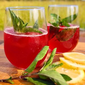 two glasses filled with fermented hibiscus soda, ice cubes and mint leaves. there are more mint leaves and lemon slices in the foreground.