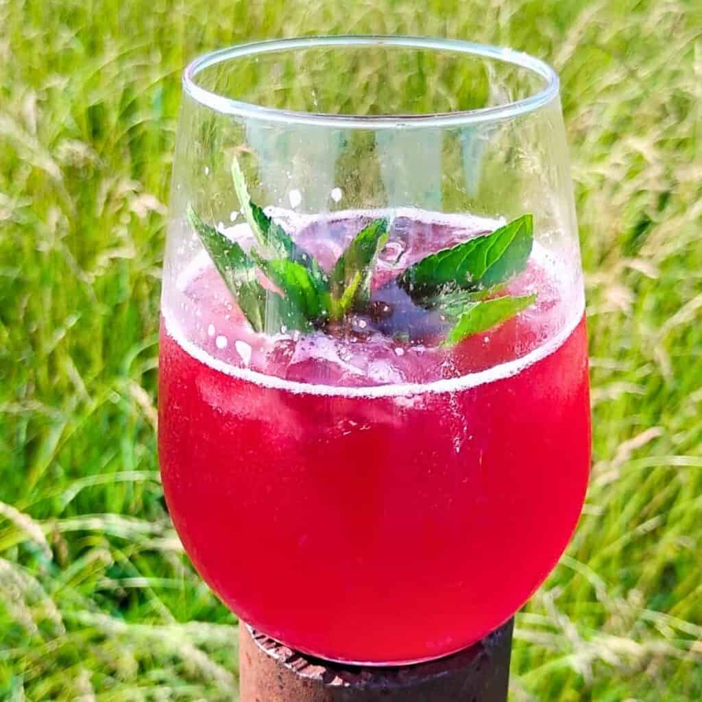 A glass full of fermented hibiscus soda with a mint sprig on a metal pipe.