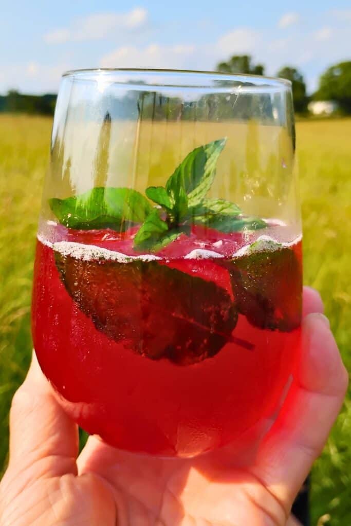 A hand is holding up a jar with fizzy fermented hibiscus soda with mint leaves.