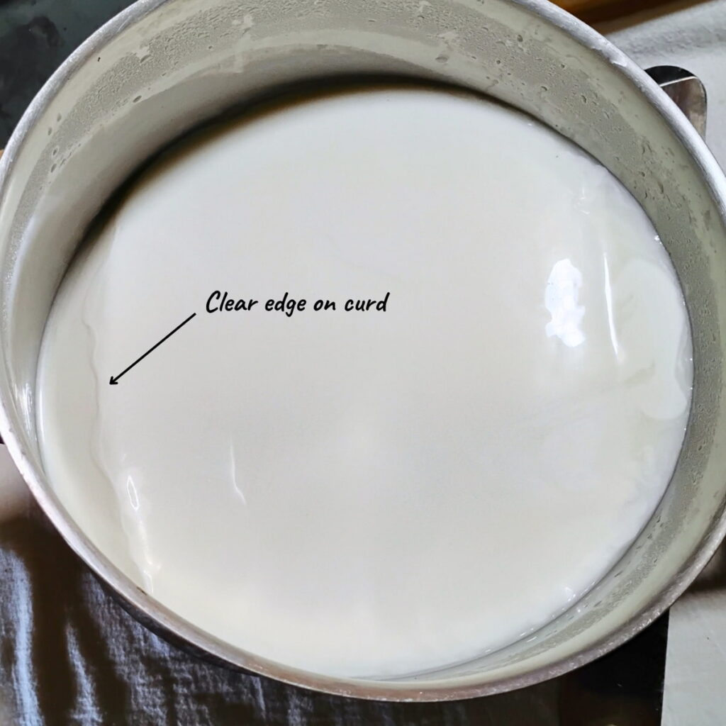visual of cheese curd forming an edge at the side of a fermentation pot. Text reads clear edge on curd with an arrow pointing to that edge.